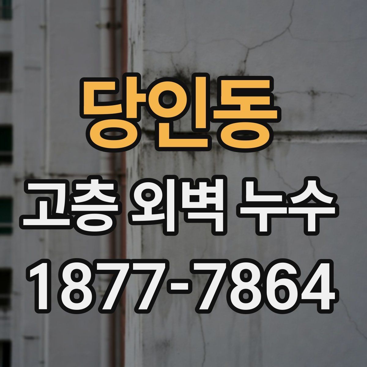 당인동 고층 외벽 누수 발생 시 건물 전체 점검이 필요한 이유