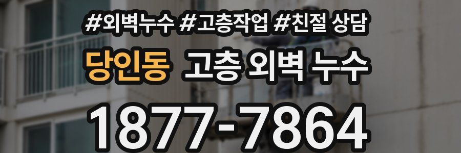 당인동 고층 외벽 누수