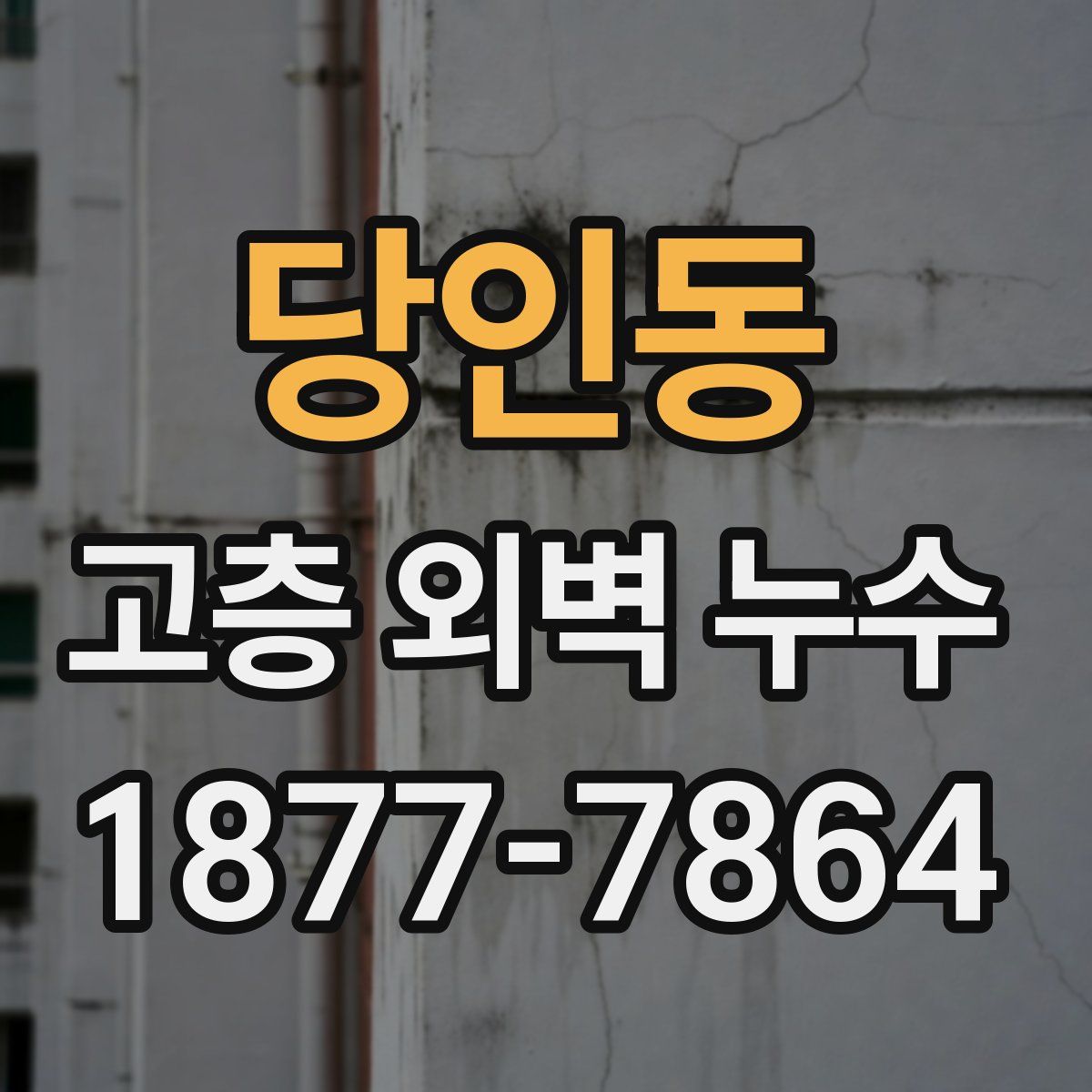 당인동 고층 외벽 누수