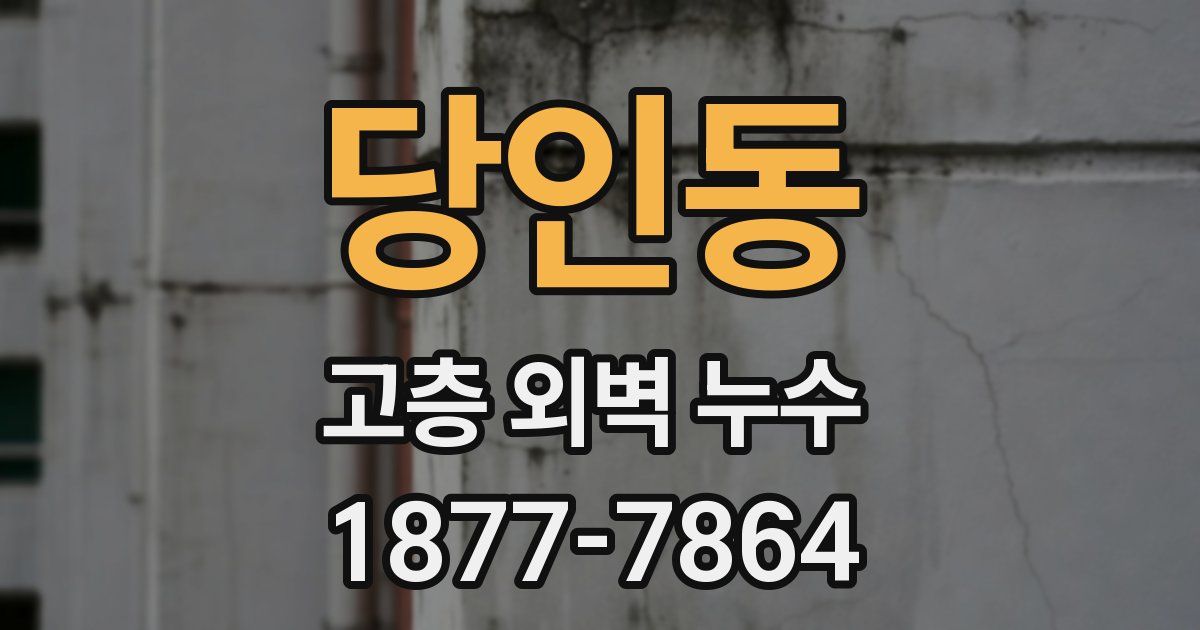당인동 고층 외벽 누수