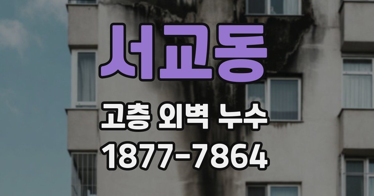 서교동 고층 외벽 누수