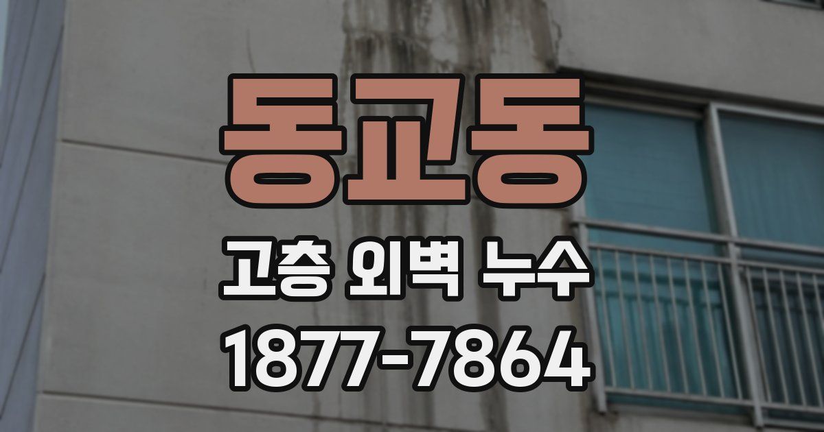 동교동 고층 외벽 누수
