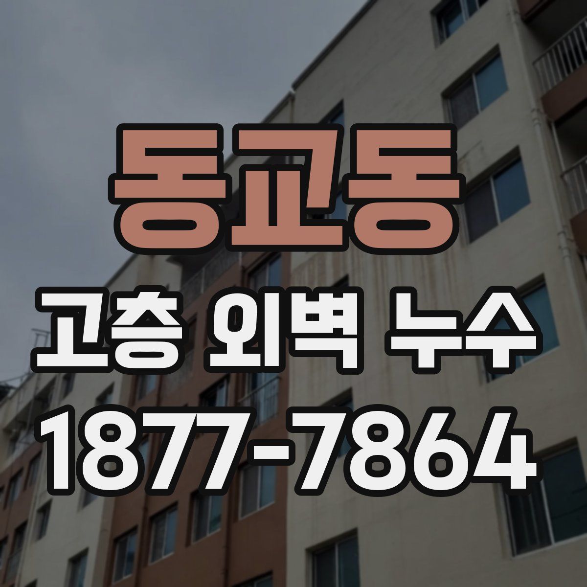 동교동 고층 외벽 누수