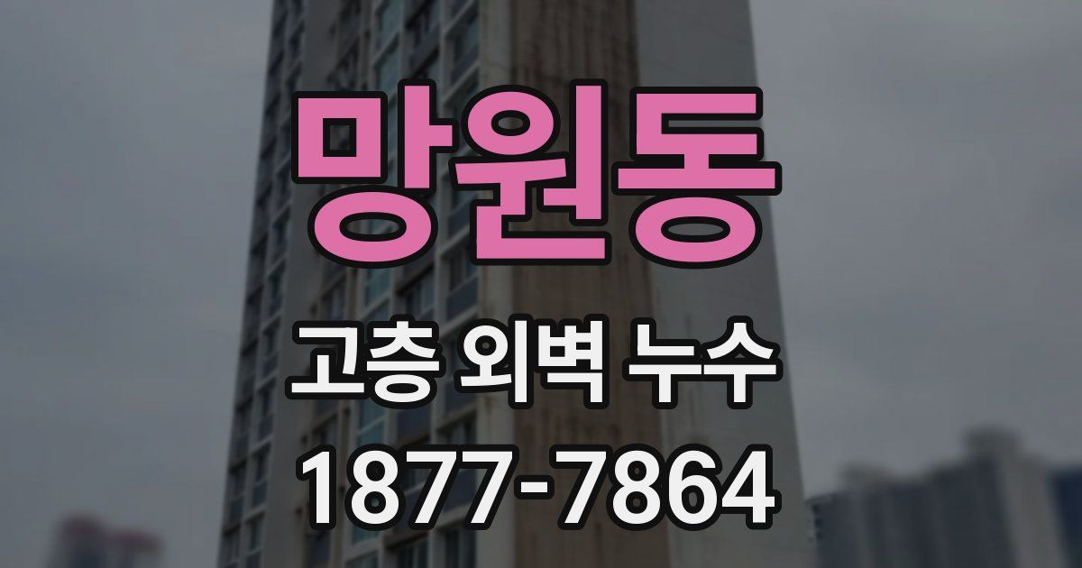 망원동 고층 외벽 누수