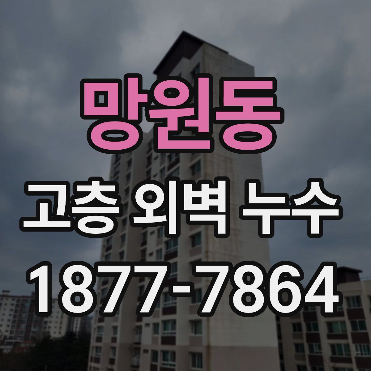 망원동 고층 외벽 누수