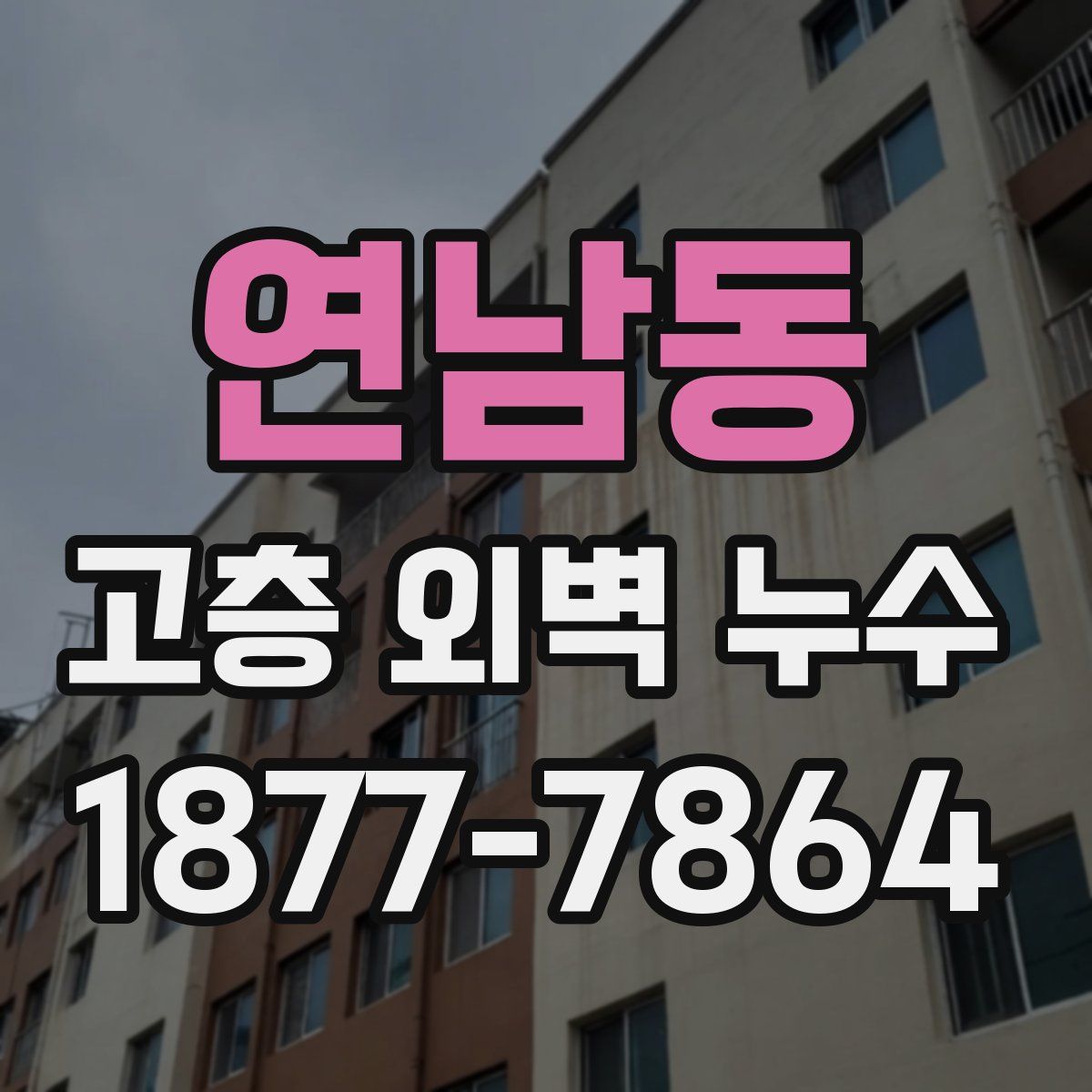 연남동 고층 외벽 누수