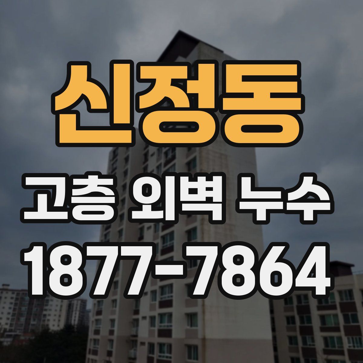 신정동 고층 외벽 누수