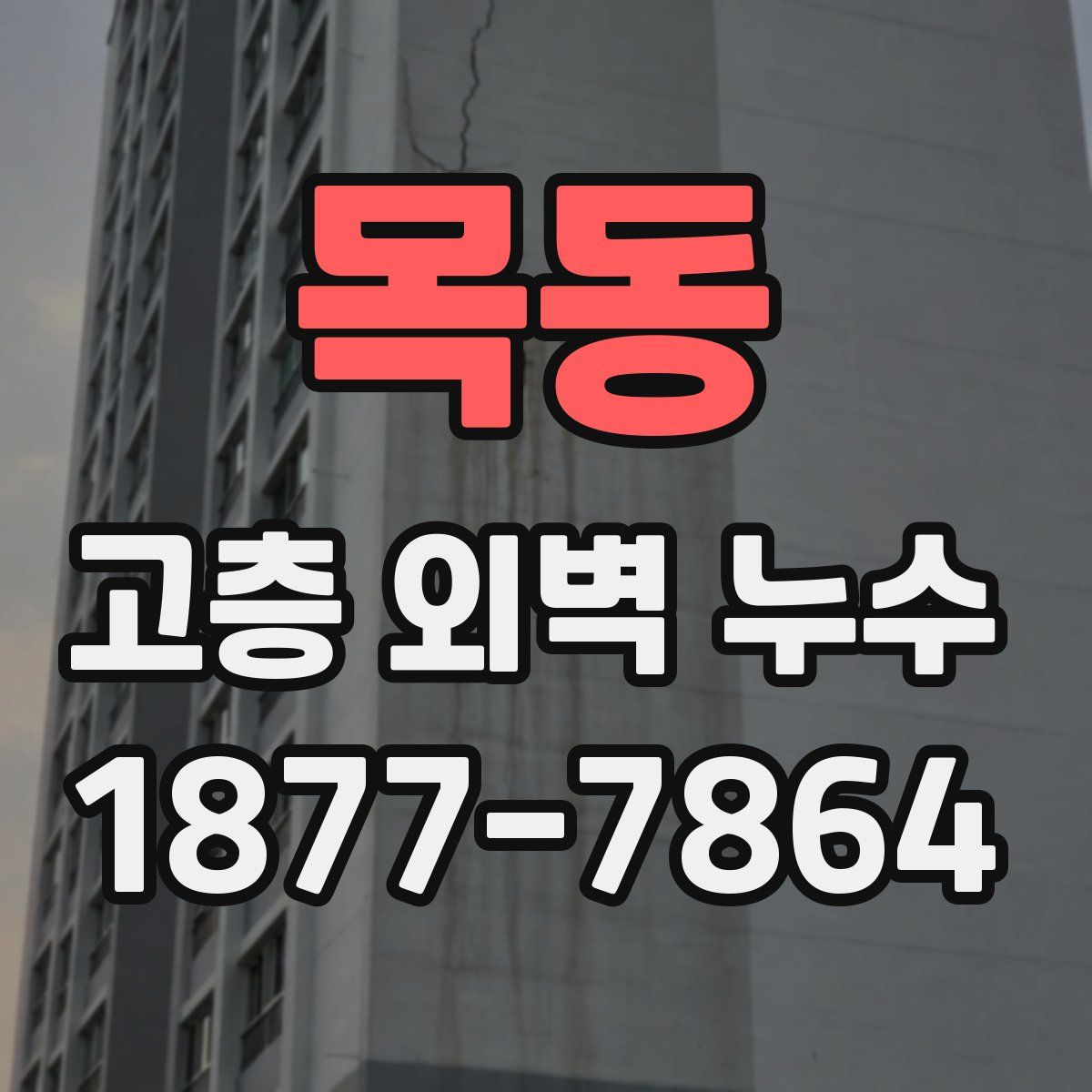 목동 고층 외벽 누수