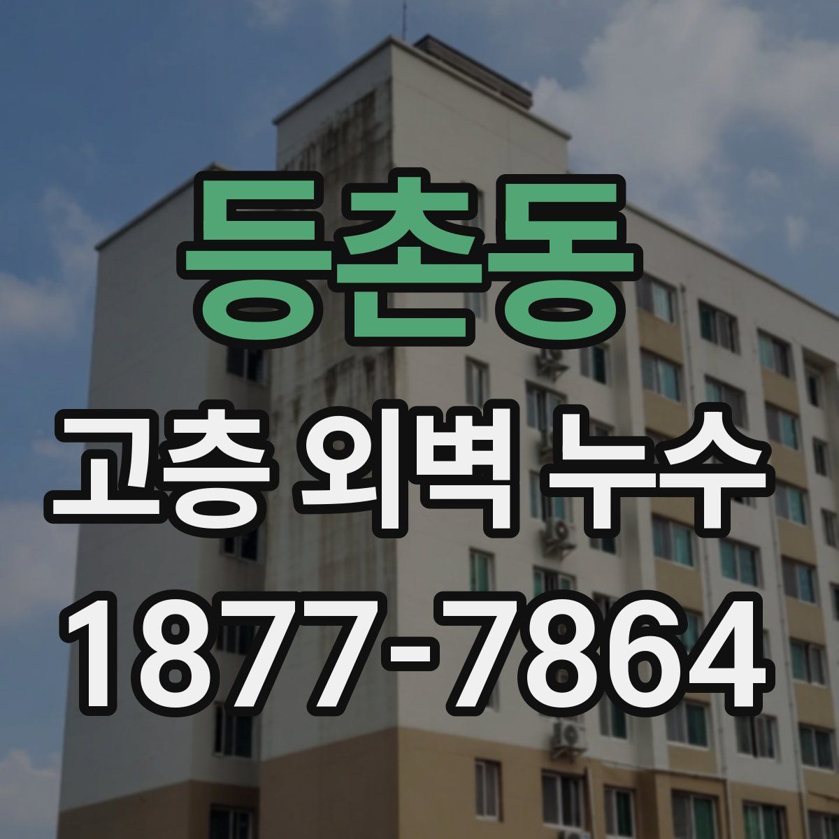 등촌동 고층 외벽 누수