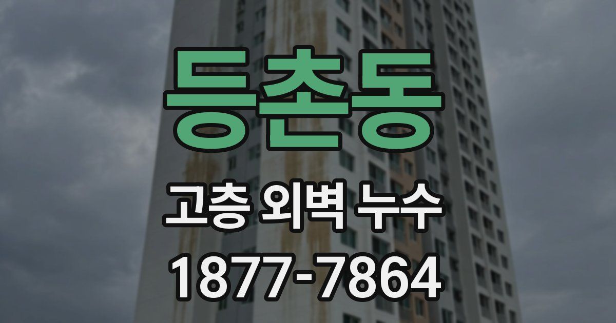등촌동 고층 외벽 누수