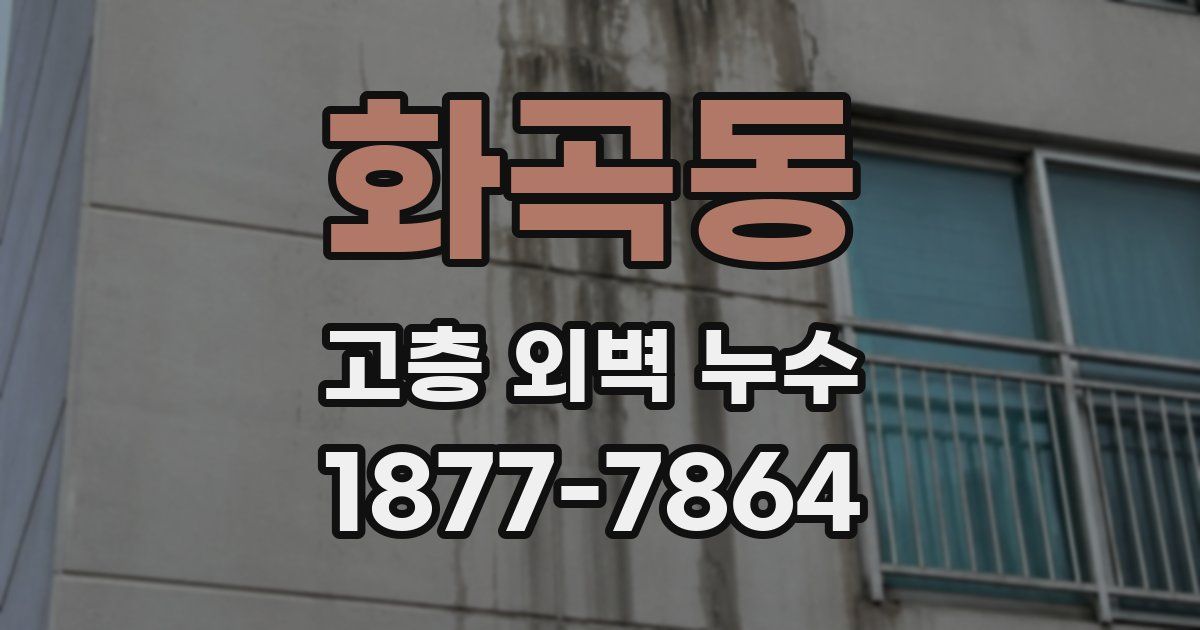 화곡동 고층 외벽 누수