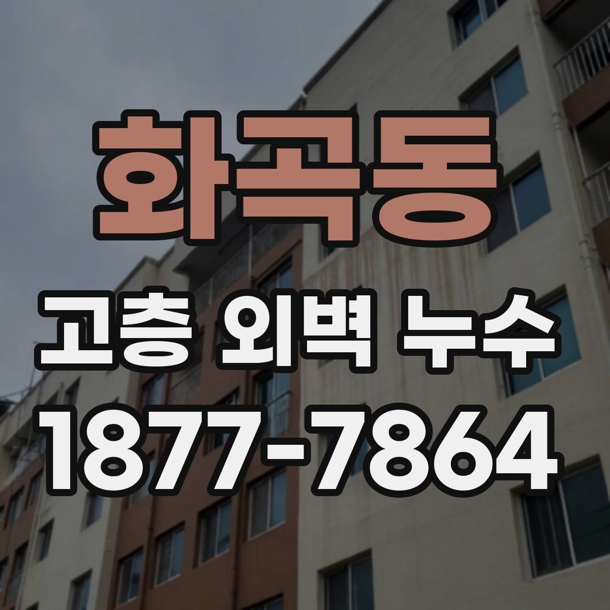 화곡동 고층 외벽 누수