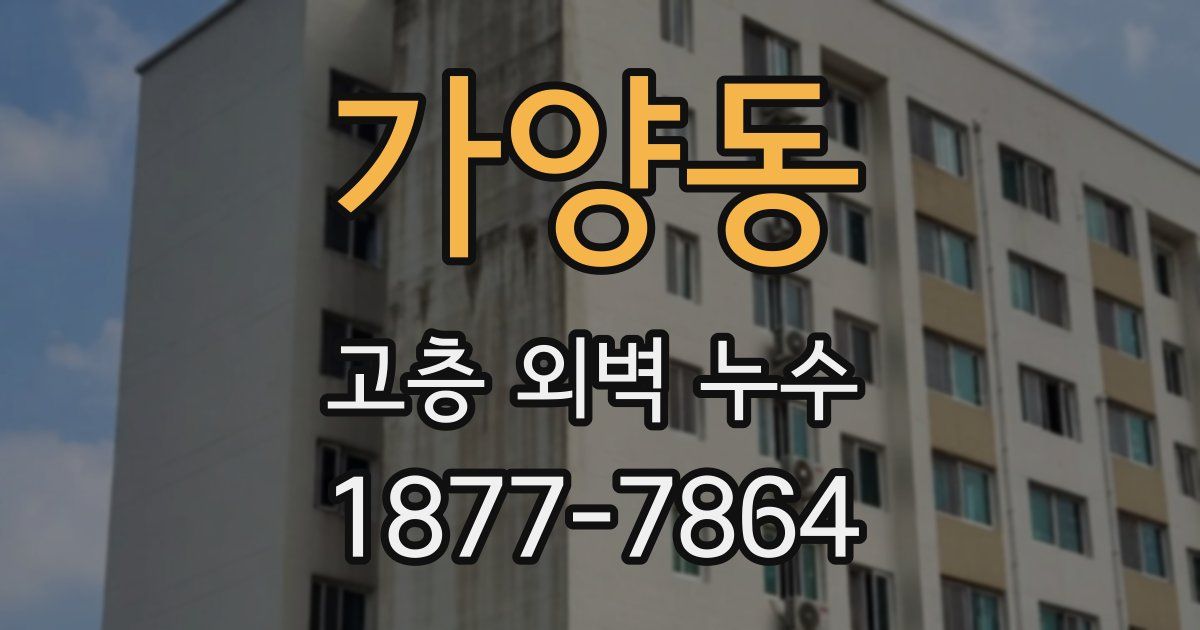 가양동 고층 외벽 누수
