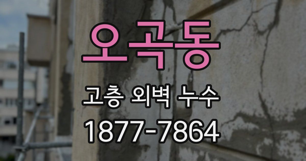 오곡동 고층 외벽 누수