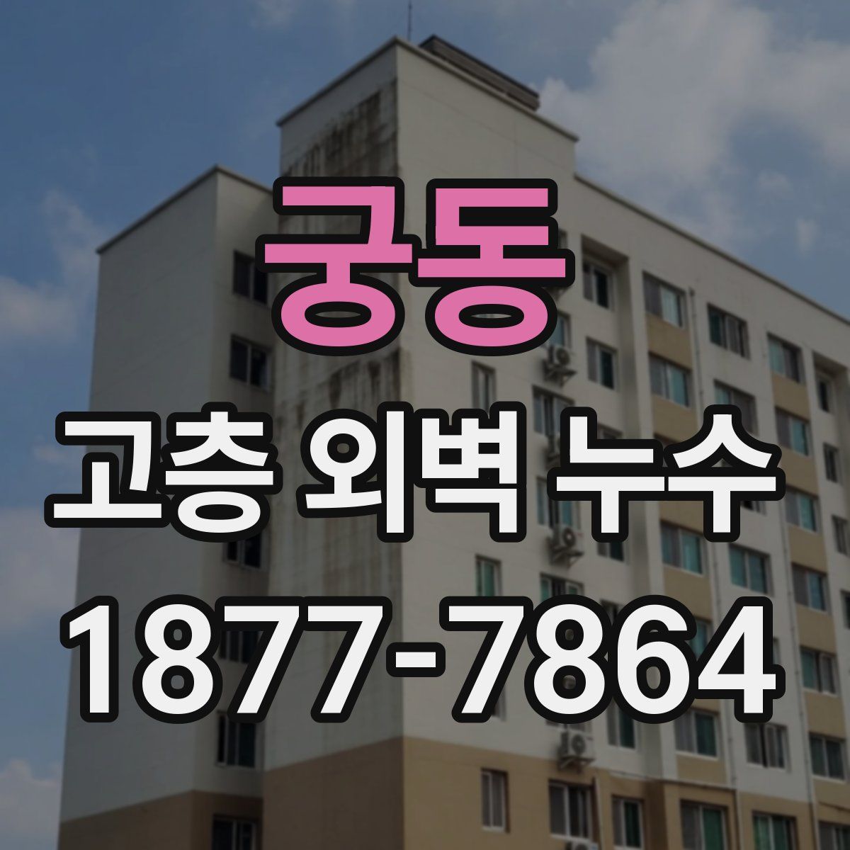 궁동 고층 외벽 누수