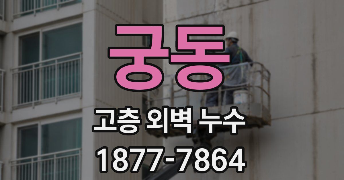 궁동 고층 외벽 누수