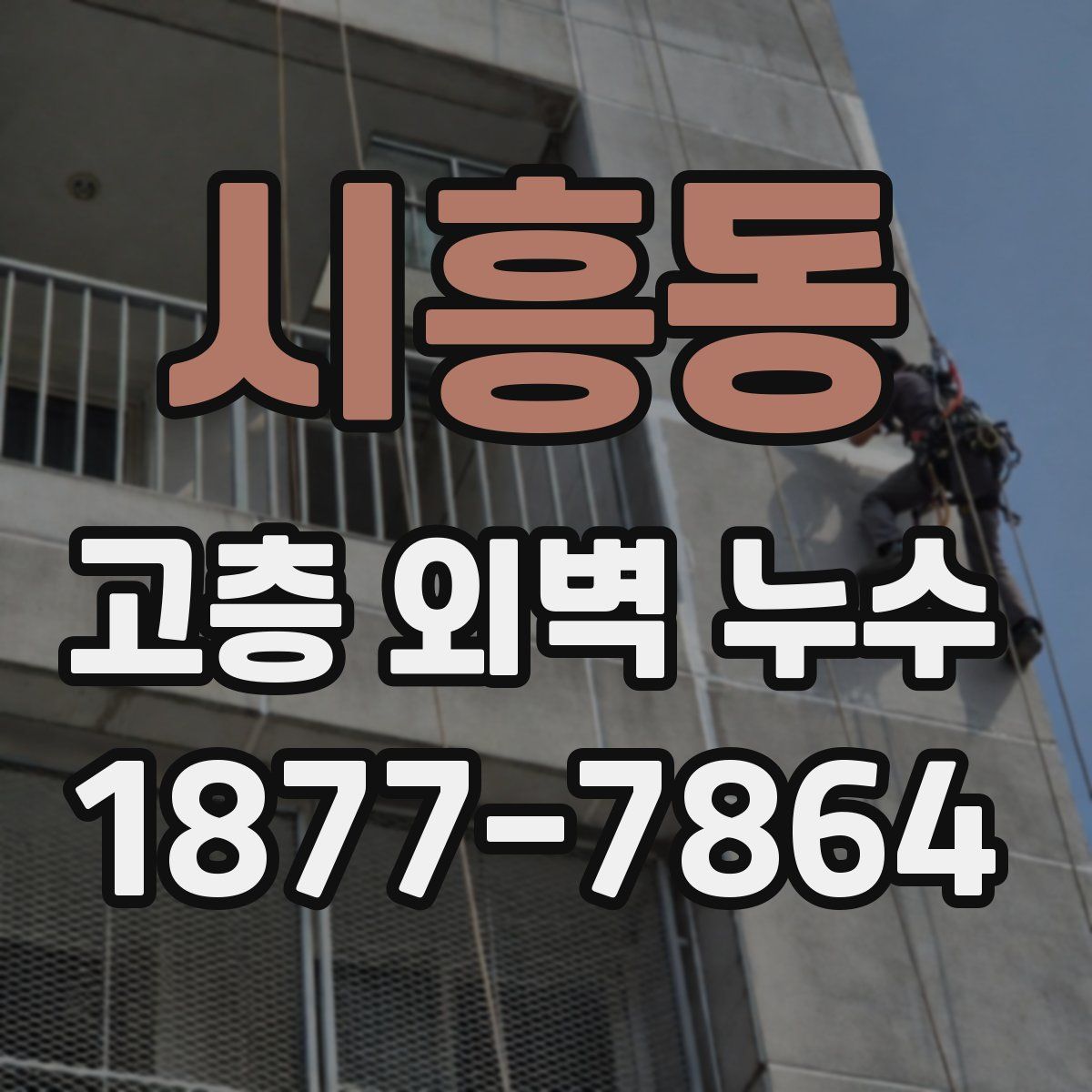 시흥동 고층 외벽 누수