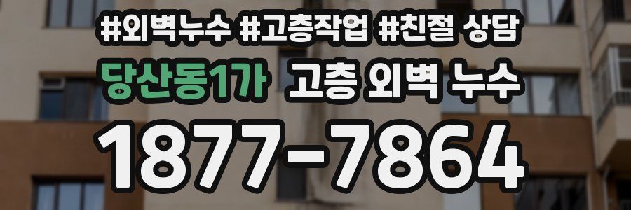 당산동1가 고층 외벽 누수