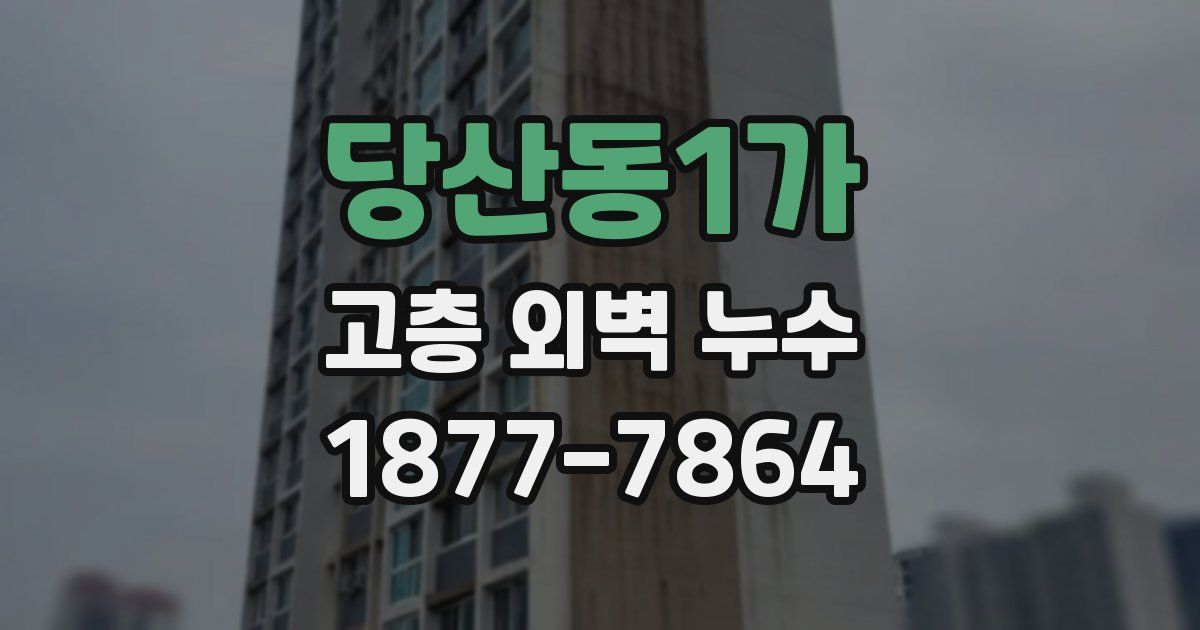 당산동1가 고층 외벽 누수