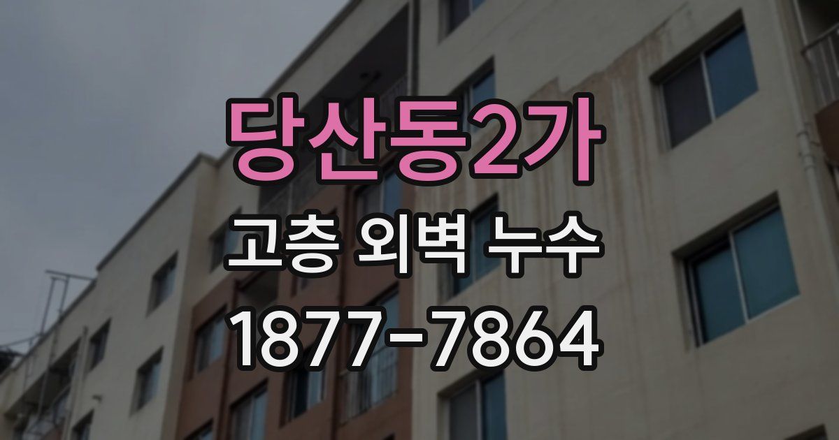 당산동2가 고층 외벽 누수