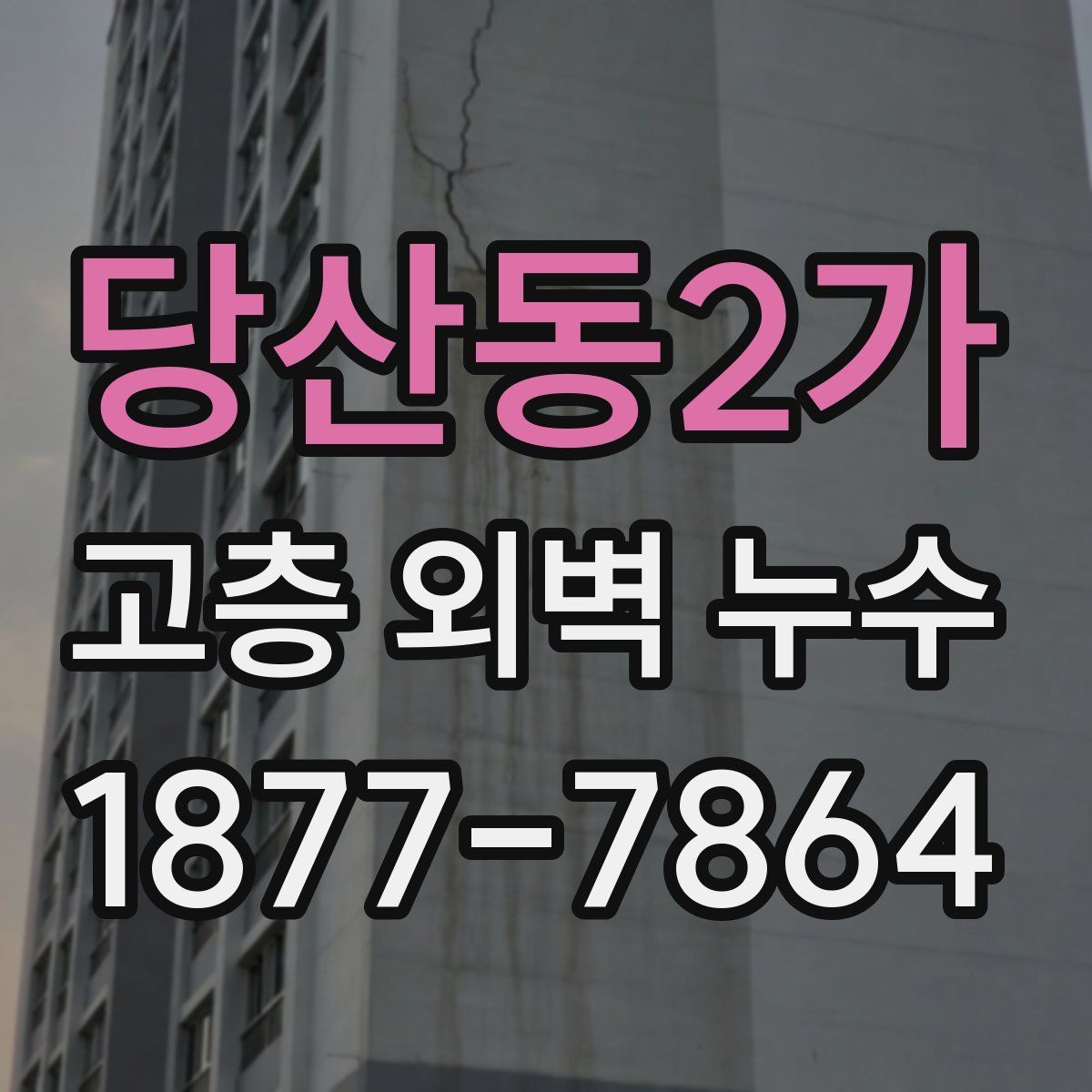 당산동2가 고층 외벽 누수