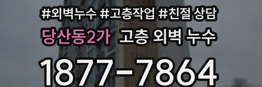 당산동2가 고층 외벽 누수
