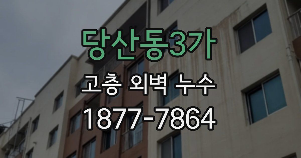 당산동3가 고층 외벽 누수
