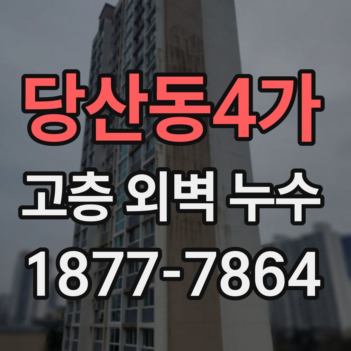 당산동4가 고층 외벽 누수