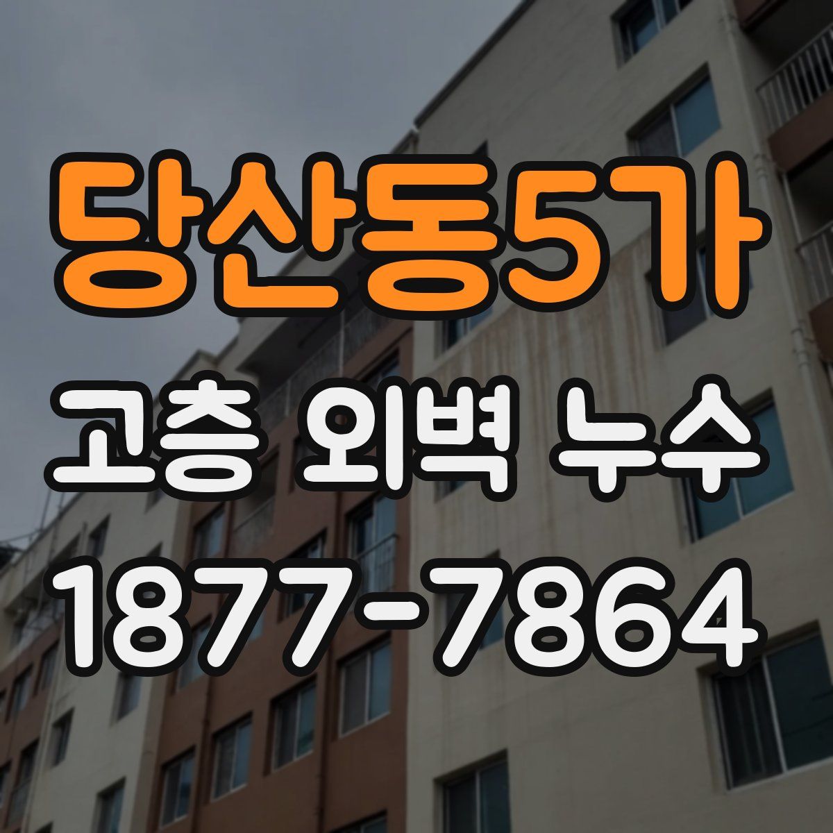 당산동5가 고층 외벽 누수
