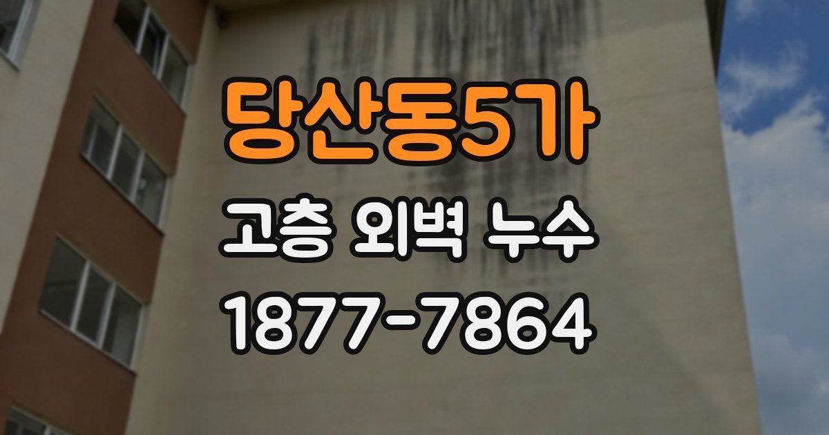 당산동5가 고층 외벽 누수