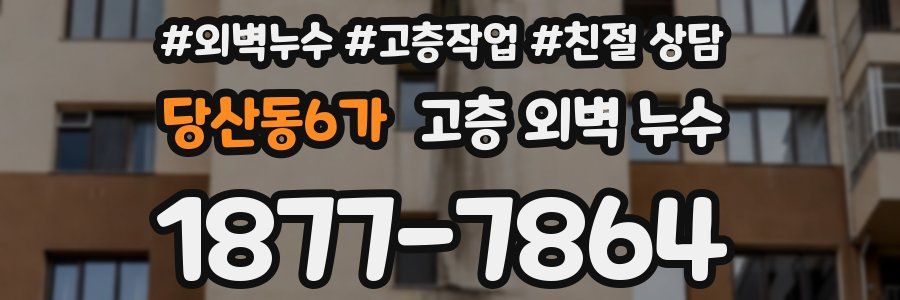 당산동6가 고층 외벽 누수