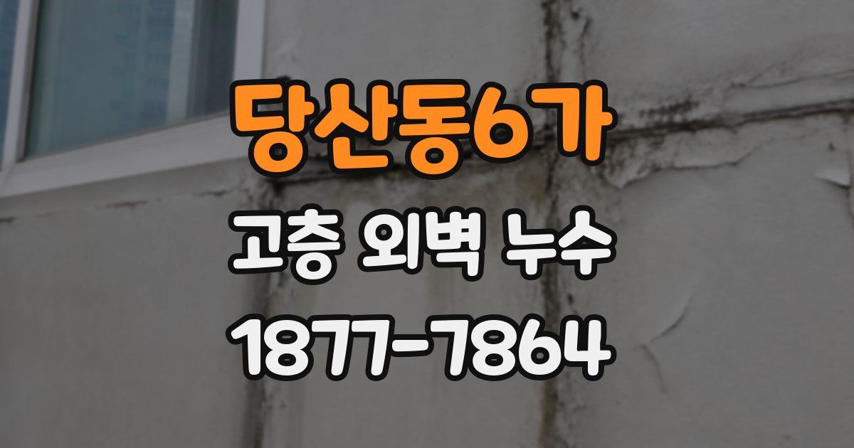 당산동6가 고층 외벽 누수