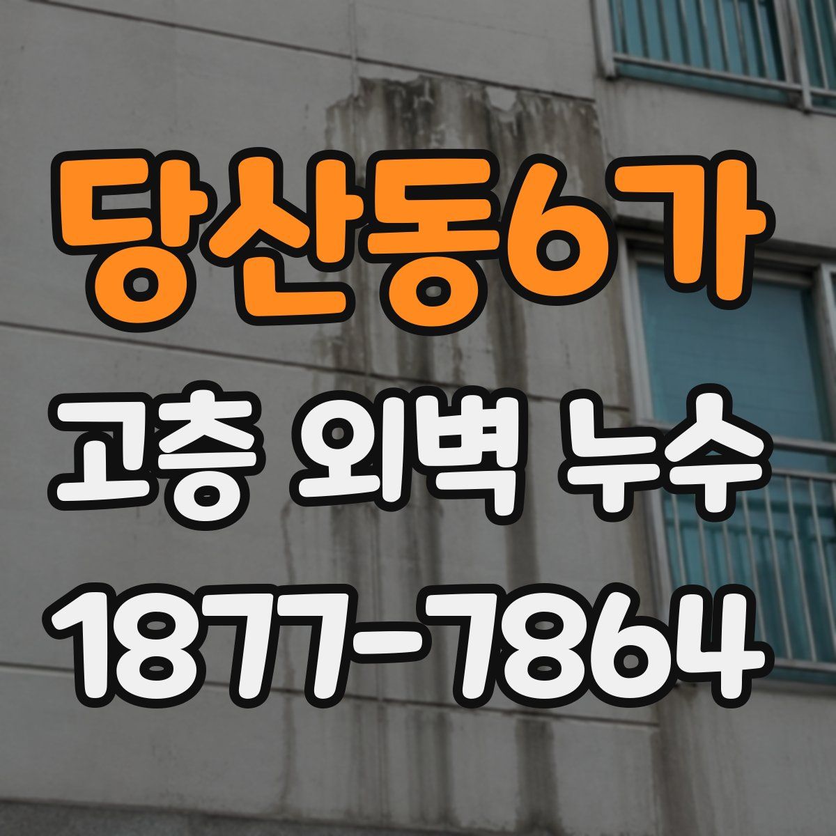 당산동6가 고층 외벽 누수