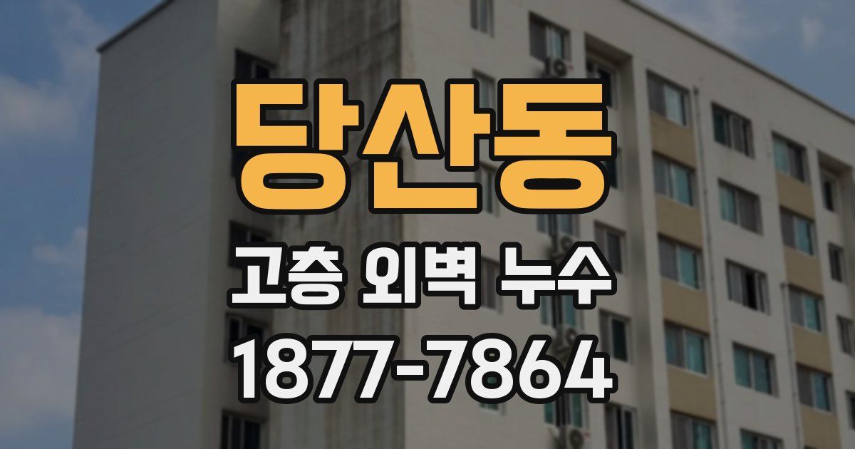 당산동 고층 외벽 누수