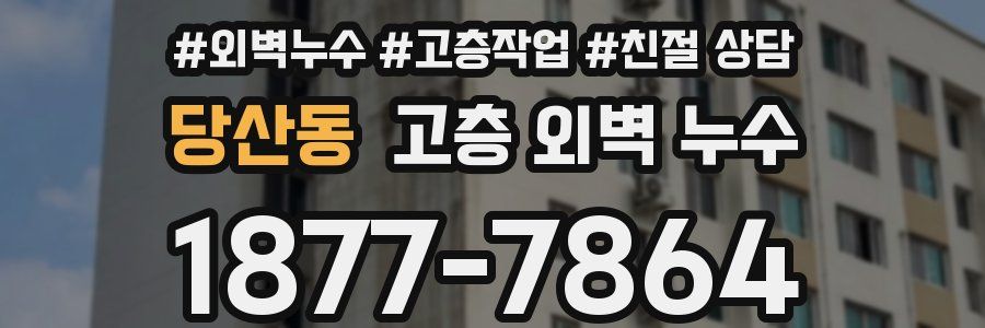 당산동 고층 외벽 누수