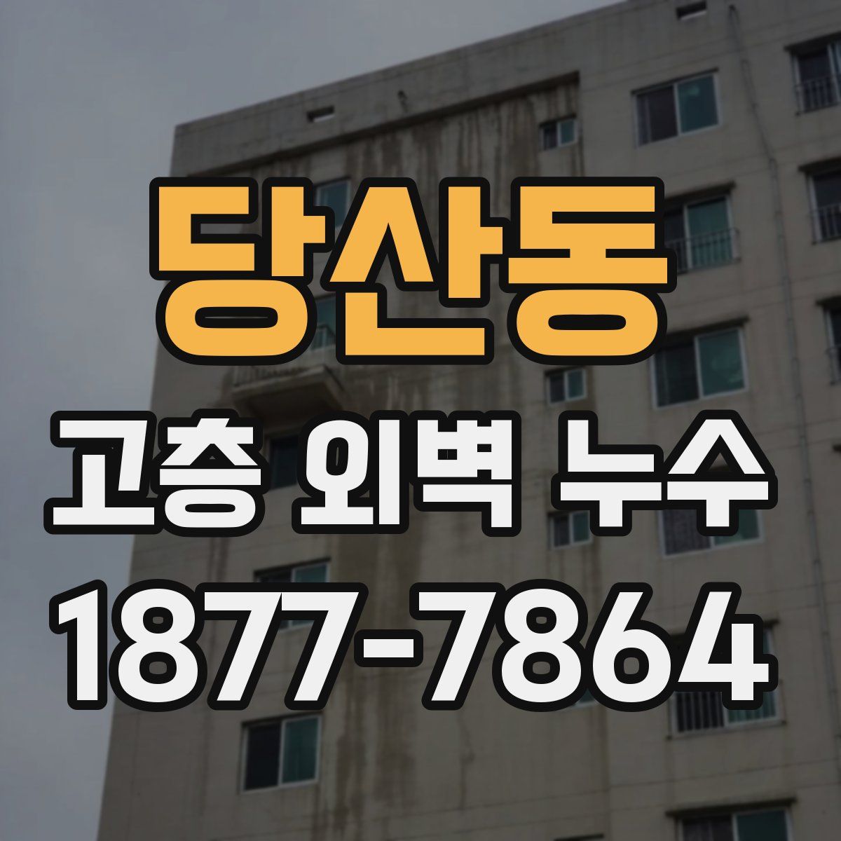 당산동 고층 외벽 누수