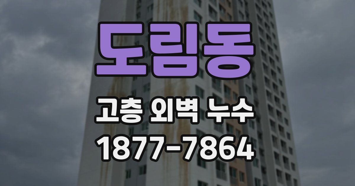도림동 고층 외벽 누수