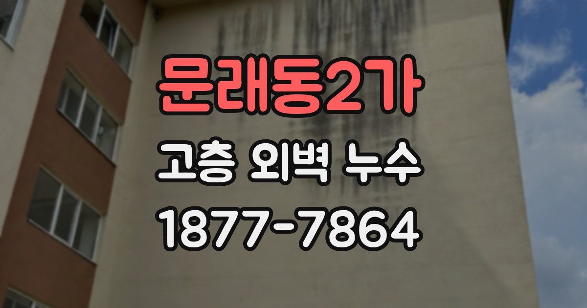 문래동2가 고층 외벽 누수