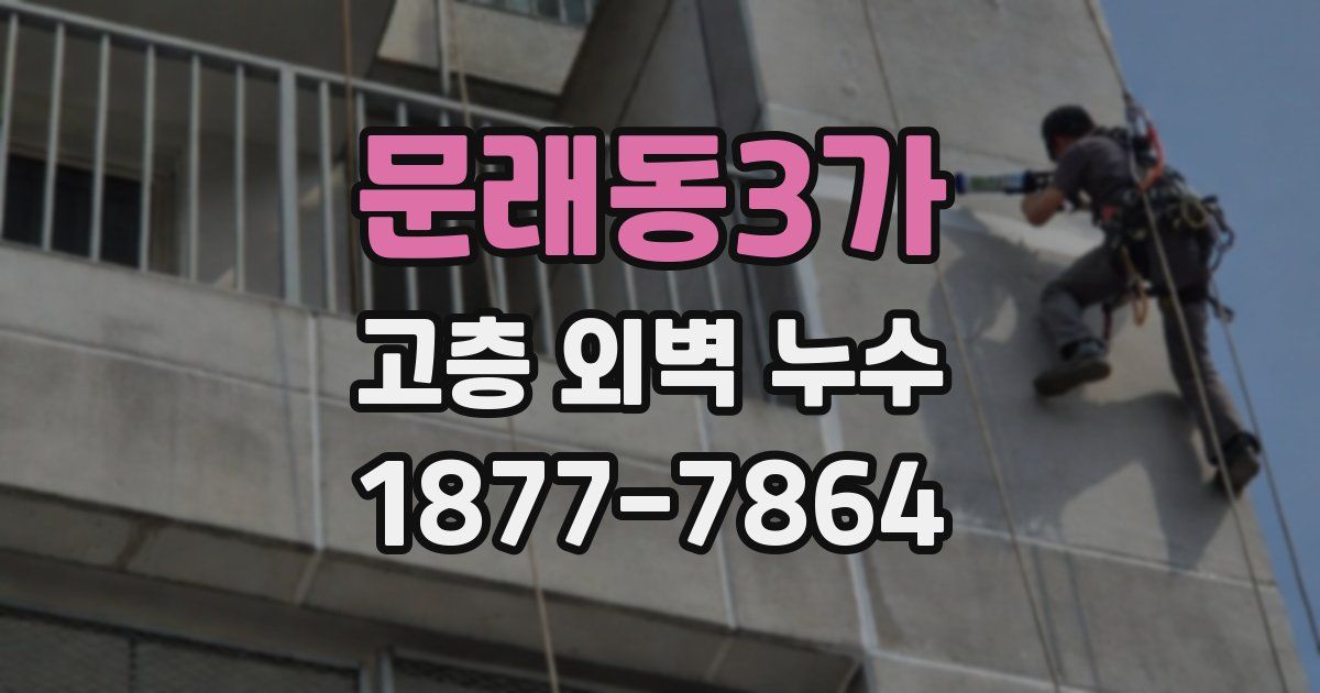 문래동3가 고층 외벽 누수