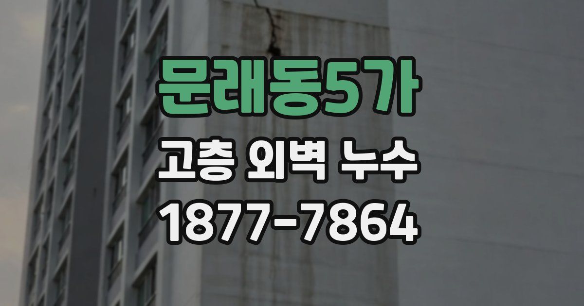 문래동5가 고층 외벽 누수
