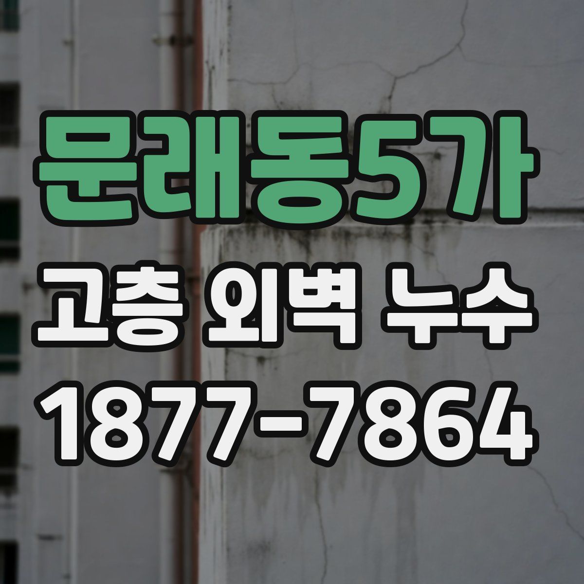 문래동5가 고층 외벽 누수