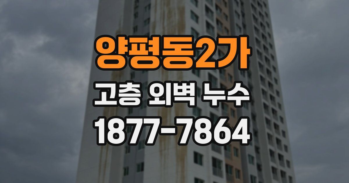 양평동2가 고층 외벽 누수