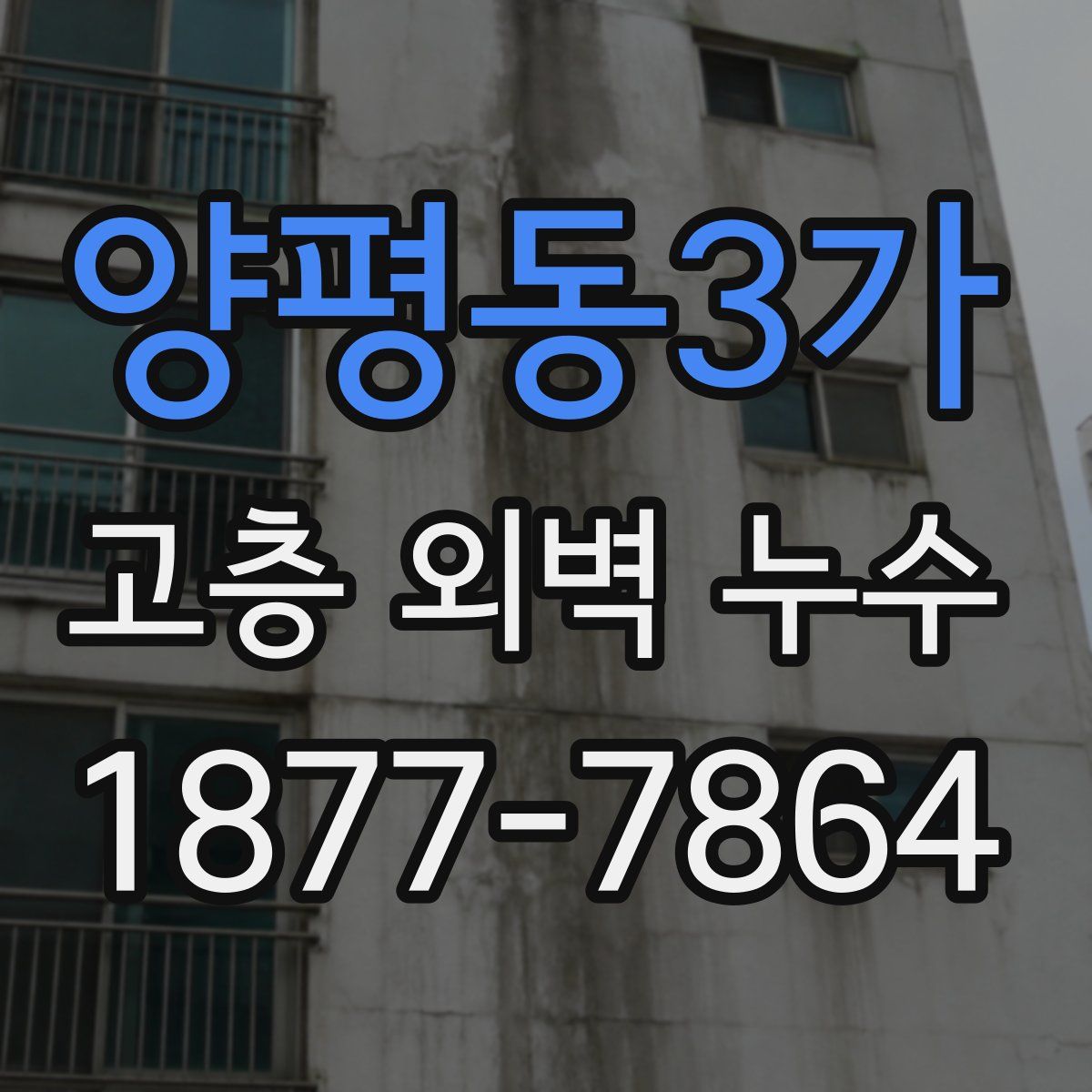 양평동3가 고층 외벽 누수