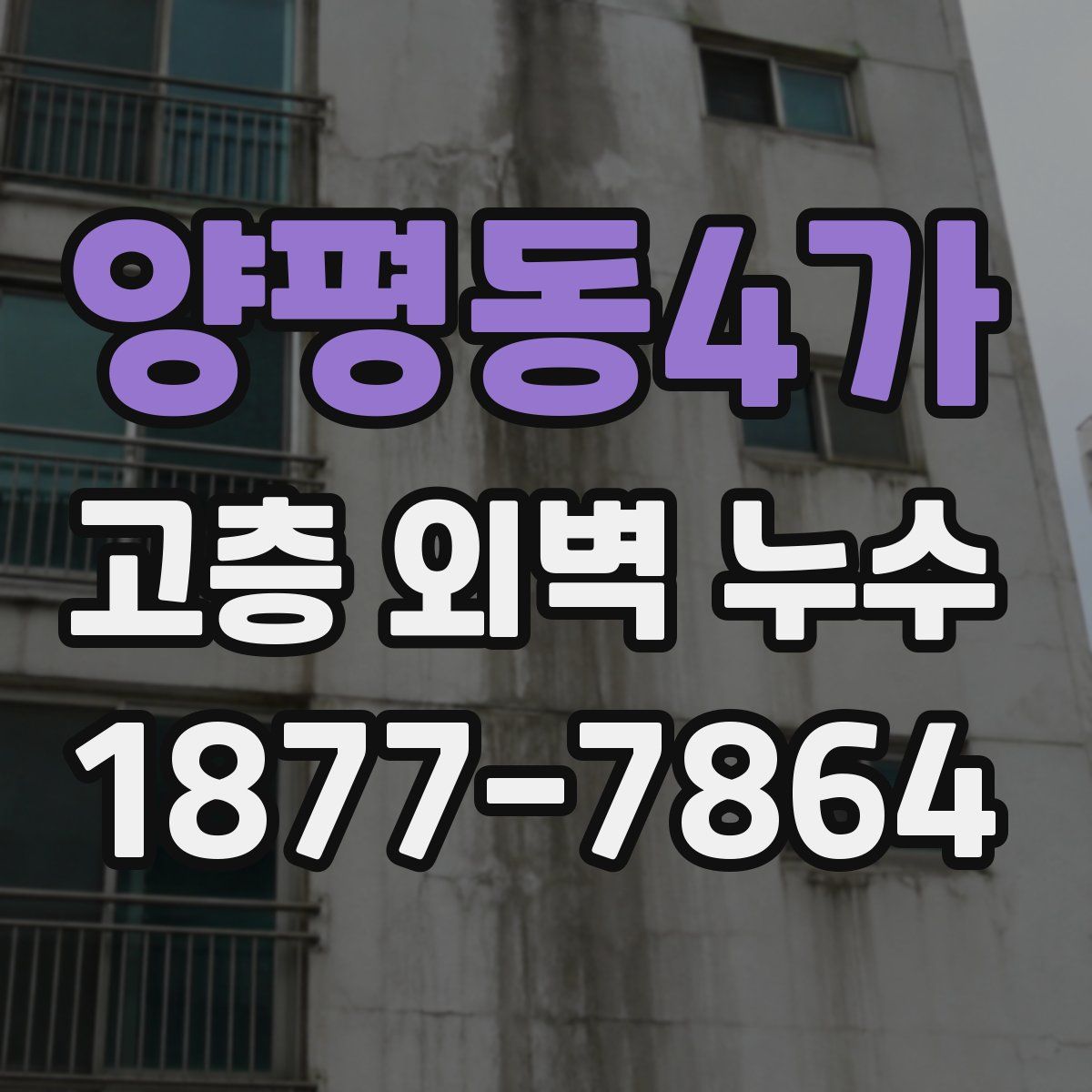 양평동4가 고층 외벽 누수