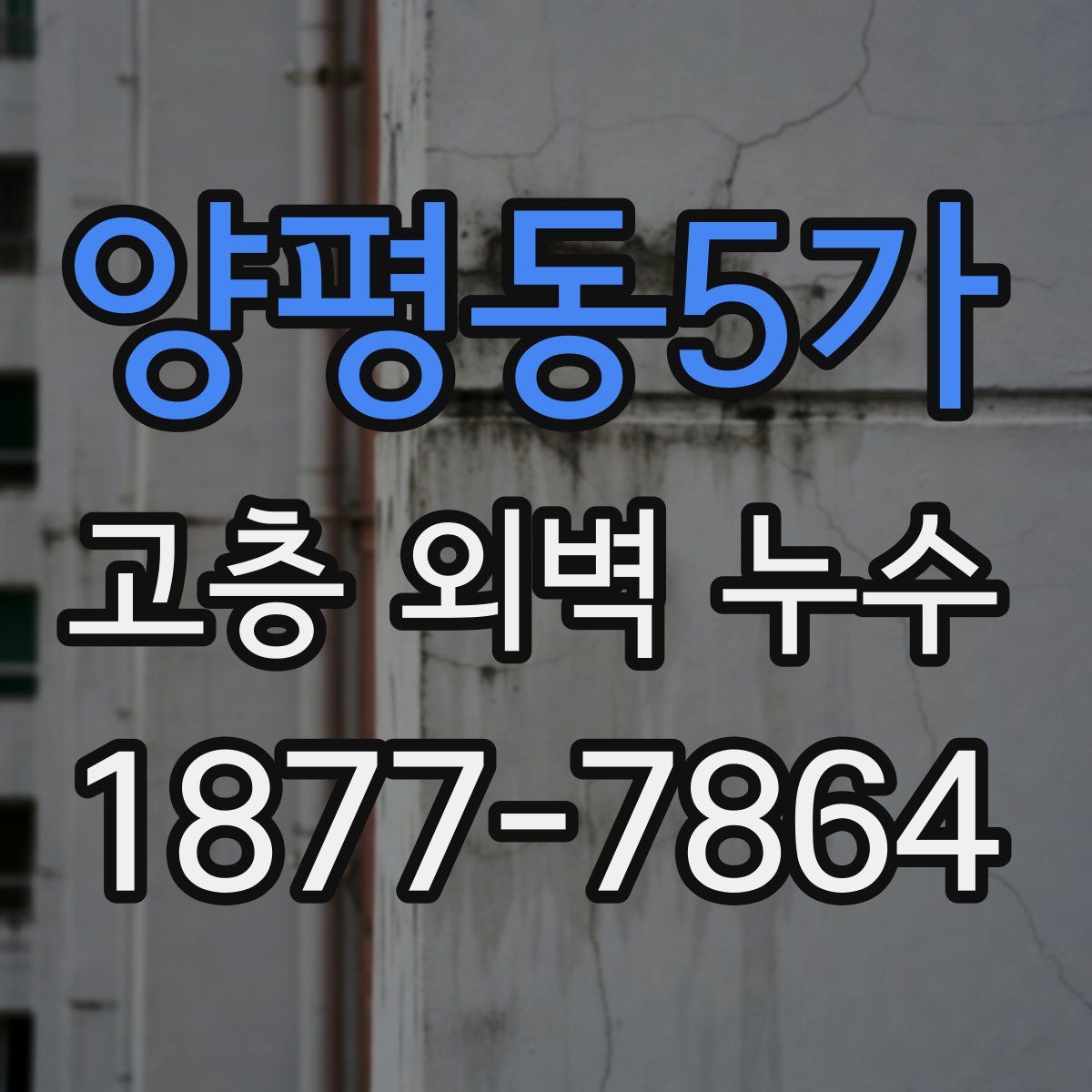 양평동5가 고층 외벽 누수