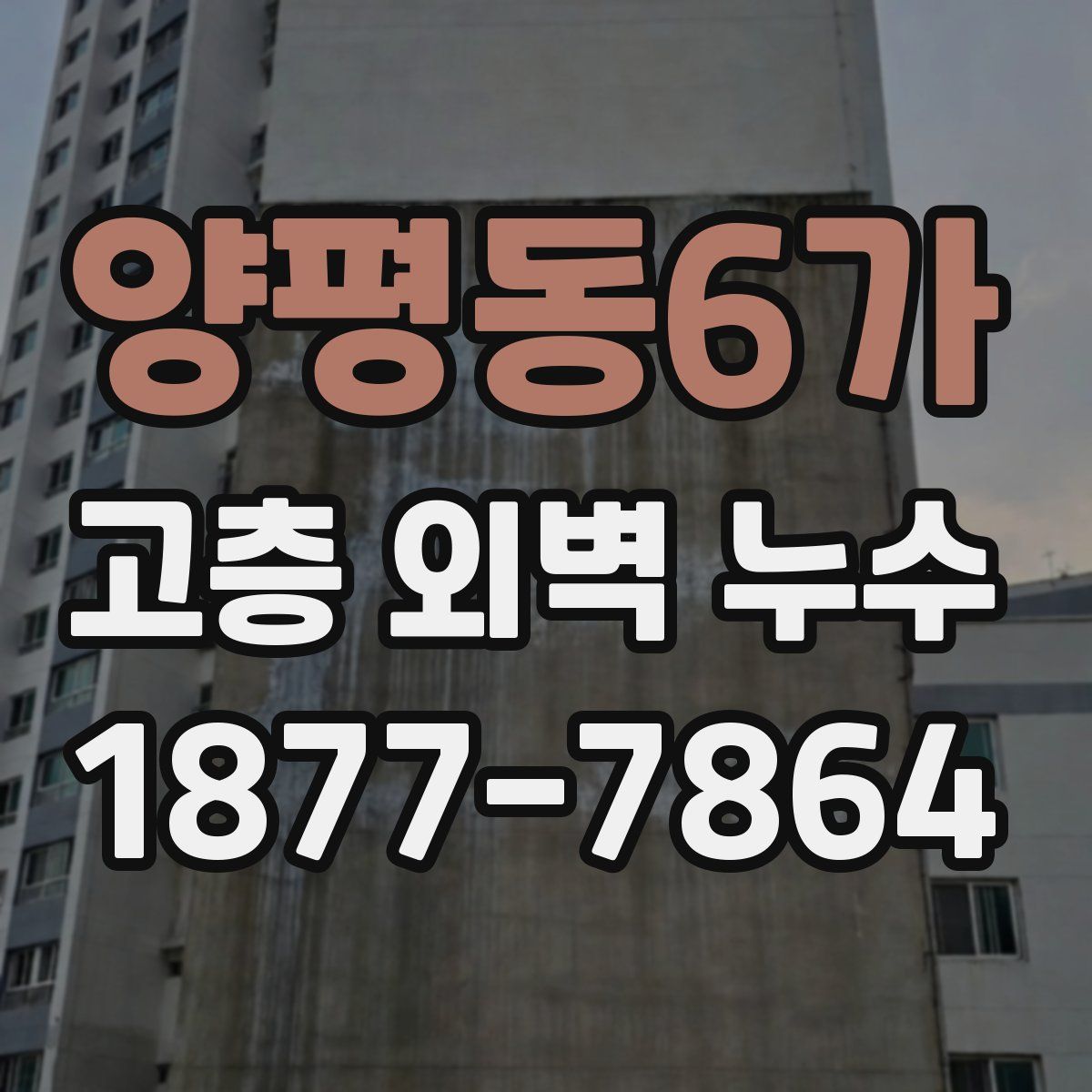 양평동6가 고층 외벽 누수