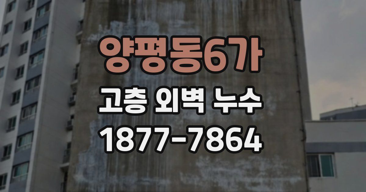 양평동6가 고층 외벽 누수
