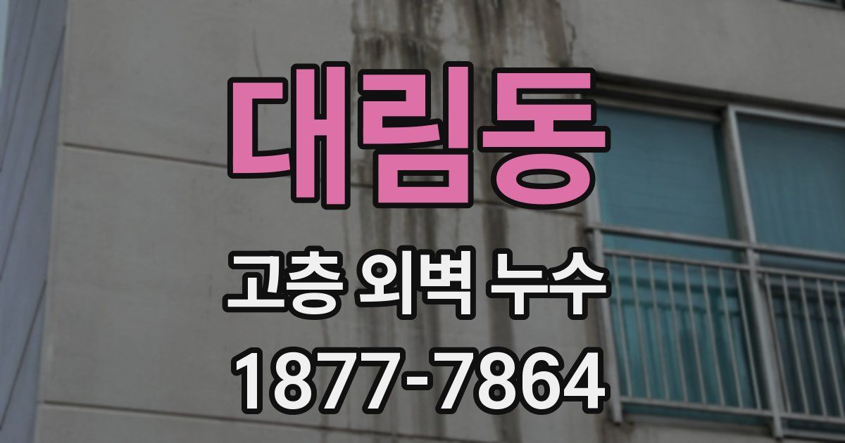 대림동 고층 외벽 누수