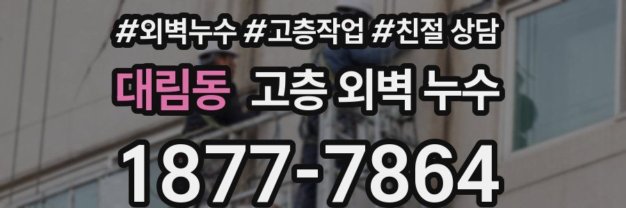 대림동 고층 외벽 누수