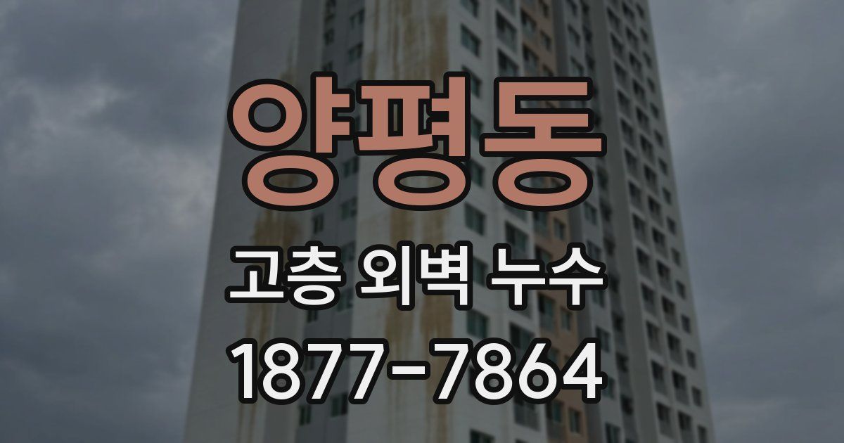 양평동 고층 외벽 누수